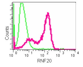 Flow Cytometry (Intracellular) - Anti-RNF20 antibody [EPR13562(B)] - BSA and Azide free (AB250351), expandable thumbnail