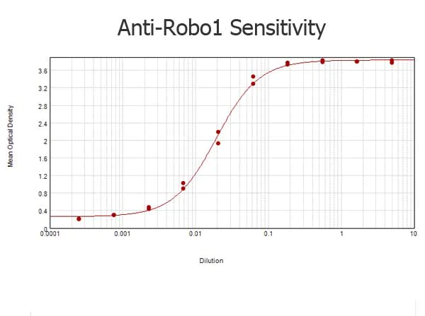 ELISA - Anti-Robo1 antibody (AB7279)