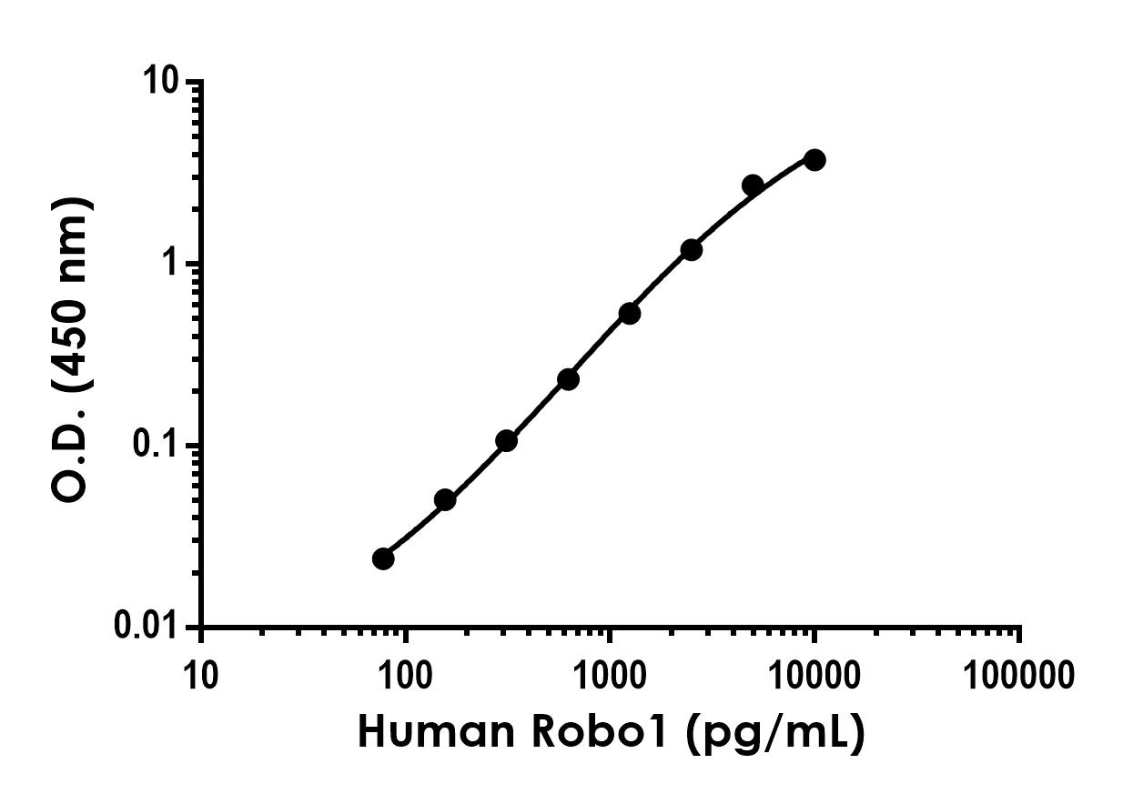 Sandwich ELISA - Anti-Robo1 antibody [EPR23699-140] - BSA and Azide free (Detector) (AB307121)