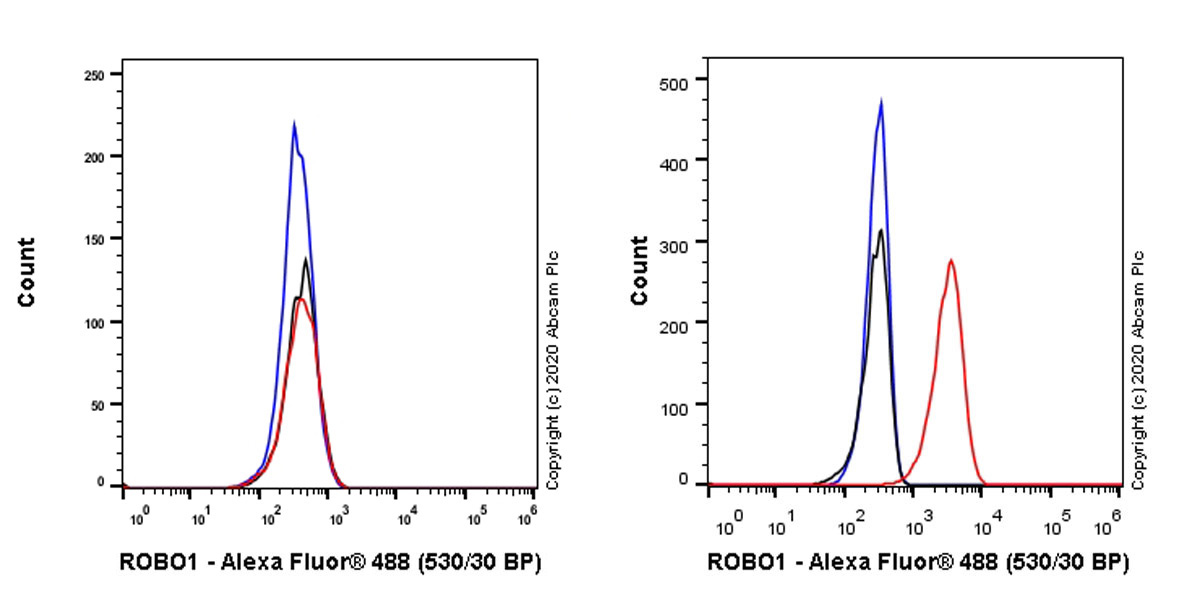 Flow Cytometry - Anti-Robo1 antibody [EPR23699-159] (AB256791), expandable thumbnail