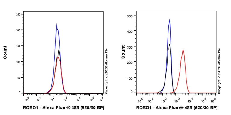 Flow Cytometry - Anti-Robo1 antibody [EPR23699-159] - BSA and Azide free (AB274385)
