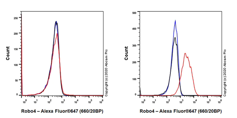 Flow Cytometry - Anti-Robo4 antibody [EPR23426-145] (AB272734)