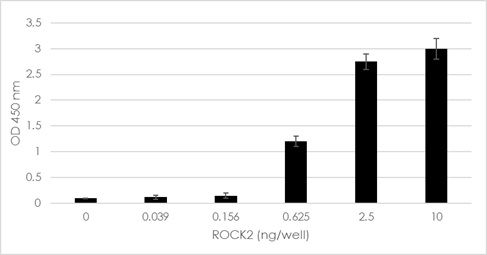 Functional Studies - ROCK Activity Assay Kit (AB211175), expandable thumbnail