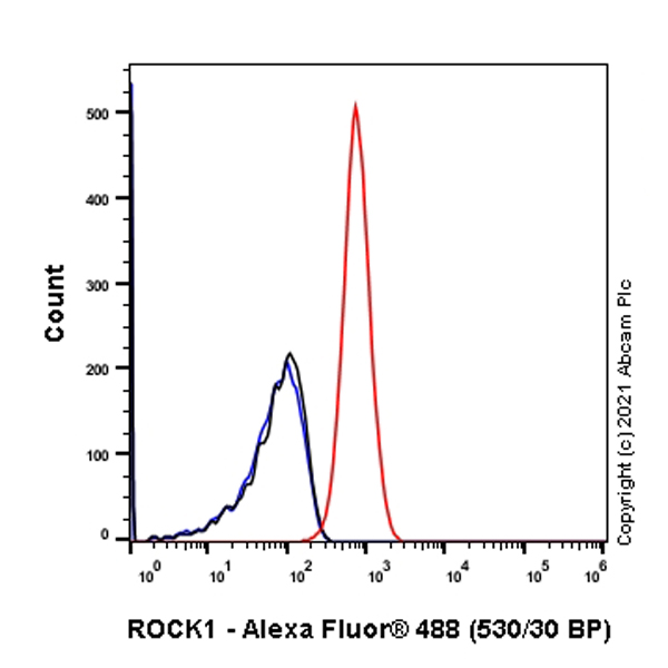 Flow Cytometry (Intracellular) - Anti-ROCK1 antibody [EPR638Y] - BSA and Azide free (AB230799), expandable thumbnail