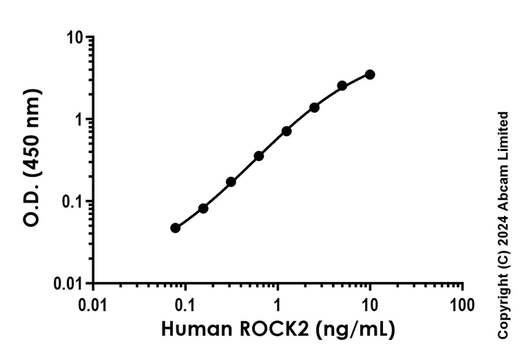 Sandwich ELISA - Anti-ROCK2 antibody [EPR24575-35] - BSA and Azide free (Detector) (AB322252)