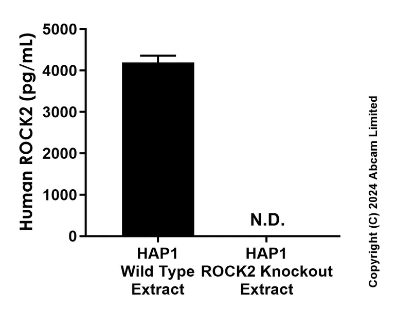 Sandwich ELISA - Anti-ROCK2 antibody [EPR24575-76] - BSA and Azide free (Capture) (AB322251)