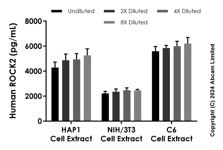 Sandwich ELISA - Anti-ROCK2 antibody [EPR24575-76] - BSA and Azide free (Capture) (AB322251)