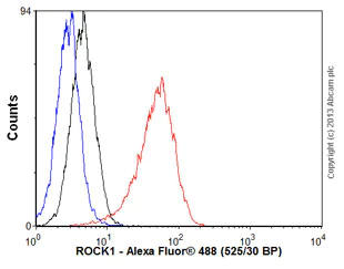 Flow Cytometry (Intracellular) - Anti-ROCK2 + ROCK1 antibody [EP786Y] - BSA and Azide free (AB219587)