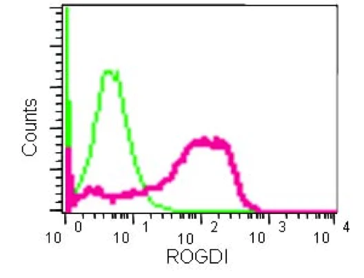 Flow Cytometry (Intracellular) - Anti-ROGDI antibody [EPR15190] - BSA and Azide free (AB250791)