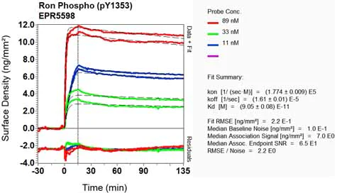 OI-RD Scanning - Anti-RON (phospho Y1353) antibody [EPR5598] - BSA and Azide free (AB232028)