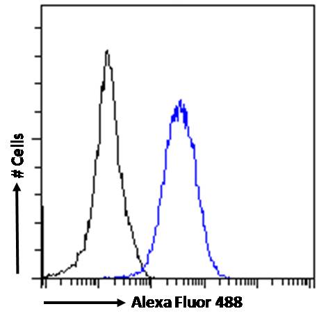 Flow Cytometry - Anti-ROR gamma antibody (AB113434), expandable thumbnail