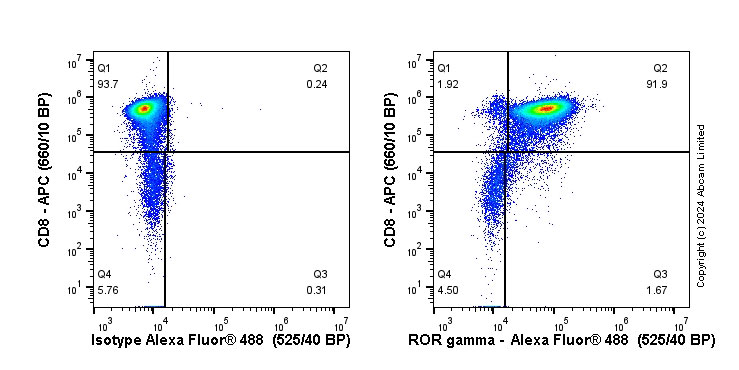 Flow Cytometry (Intracellular) - Anti-ROR gamma antibody [EPR20006] - BSA and Azide free (AB232516)