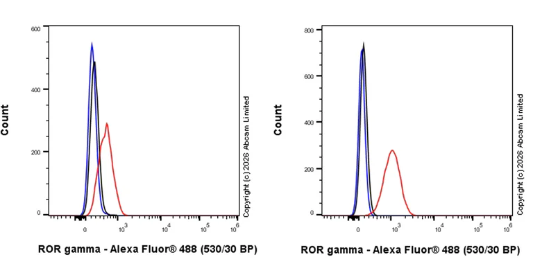 Flow Cytometry (Intracellular) - Anti-ROR gamma antibody [EPR27137-10] - BSA and Azide free (AB325656)
