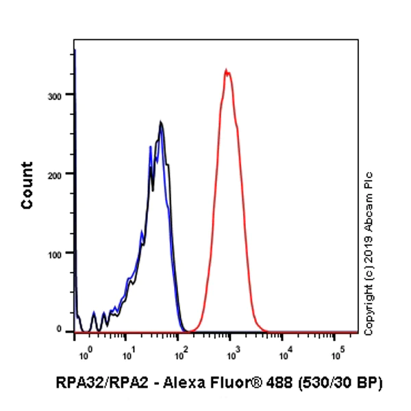 Flow Cytometry (Intracellular) - Anti-RPA32/RPA2 antibody [EPR22950-81] - BSA and Azide free (AB256819)
