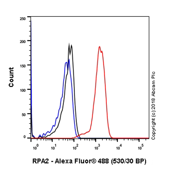 Flow Cytometry (Intracellular) - Anti-RPA32/RPA2 antibody [EPR2876(2)] (AB109084), expandable thumbnail