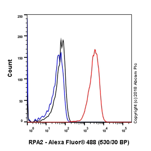 Flow Cytometry (Intracellular) - Anti-RPA32/RPA2 antibody [EPR2877Y] - BSA and Azide free (AB236044)