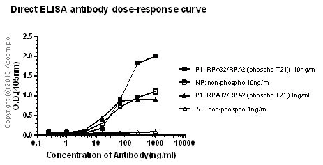 ELISA - Anti-RPA32/RPA2 (phospho T21) antibody [EPR2846(2)] - BSA and Azide free (AB240943)