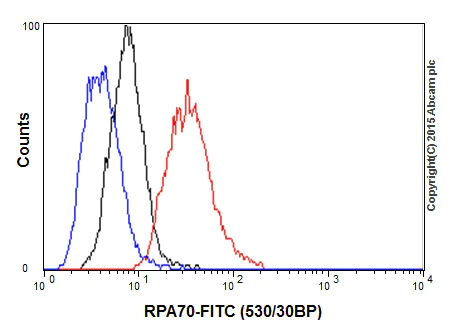 Flow Cytometry (Intracellular) - Anti-RPA70 antibody [EPR3472] (AB79398)