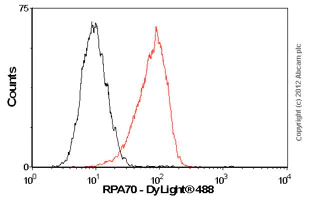 Flow Cytometry (Intracellular) - Anti-RPA70 antibody [EPR3472] (AB79398)
