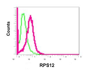 Flow Cytometry (Intracellular) - Anti-RPS12 antibody [EPR10963] - BSA and Azide free (AB249870), expandable thumbnail