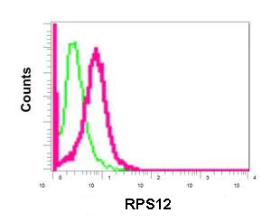 Flow Cytometry (Intracellular) - Anti-RPS12 antibody [EPR10963] - BSA and Azide free (AB249870)