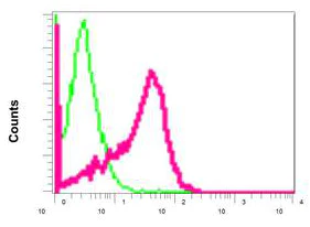 Flow Cytometry (Intracellular) - Anti-RPS15 antibody [EPR11104] (AB157193)