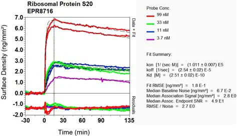 OI-RD Scanning - Anti-RPS20 antibody [EPR8716] (AB133776)