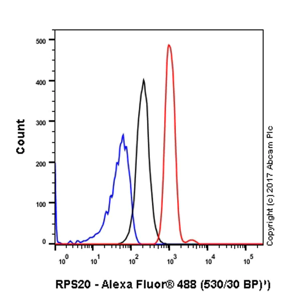 Flow Cytometry (Intracellular) - Anti-RPS20 antibody [EPR8716] - BSA and Azide free (AB240081)