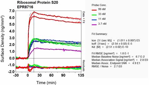 OI-RD Scanning - Anti-RPS20 antibody [EPR8716] - BSA and Azide free (AB240081), expandable thumbnail
