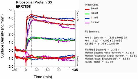 OI-RD Scanning - Anti-RPS3 antibody [EPR7808] - Ribosome Marker (AB128995), expandable thumbnail