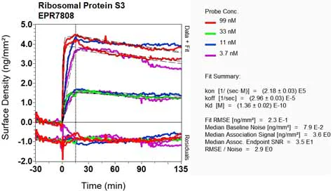 OI-RD Scanning - Anti-RPS3 antibody [EPR7808] - Ribosome Marker (AB128995)