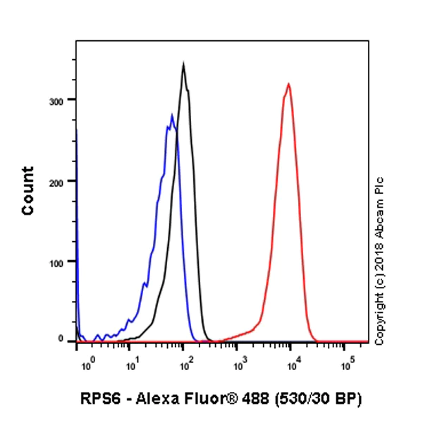Flow Cytometry (Intracellular) - Anti-RPS6 antibody [EPR22168] - Ribosome Marker (AB225676)
