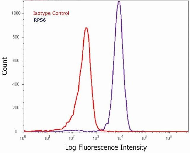 Flow Cytometry - Anti-RPS6 antibody [RP23040083] (ab313428), expandable thumbnail