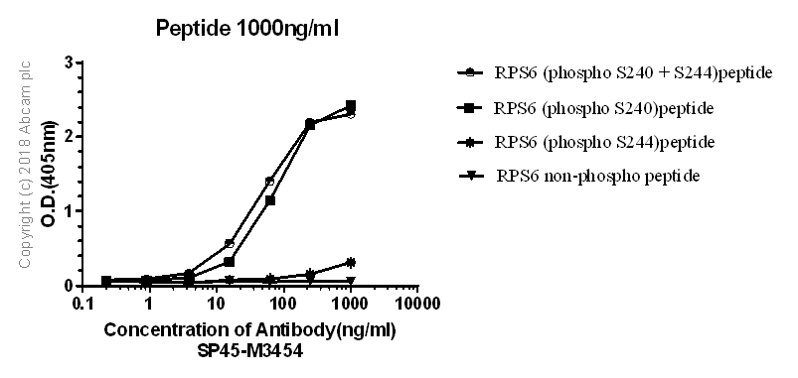 ELISA - Anti-RPS6 (phospho S240 + S244) antibody [SP45] (ab81081), expandable thumbnail