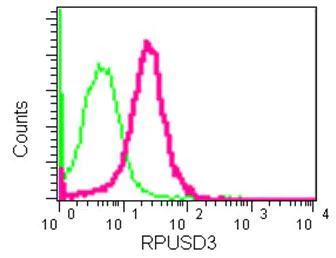 Flow Cytometry (Intracellular) - Anti-RPUSD3 antibody [EPR12911] - BSA and Azide free (AB250362)