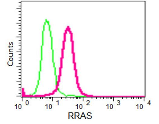 Flow Cytometry (Intracellular) - Anti-RRAS antibody [EPR15843] (AB191399)