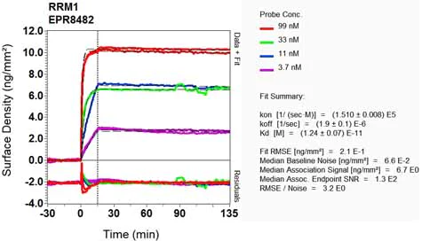 OI-RD Scanning - Anti-RRM1 antibody [EPR8482] - BSA and Azide free (AB248620)