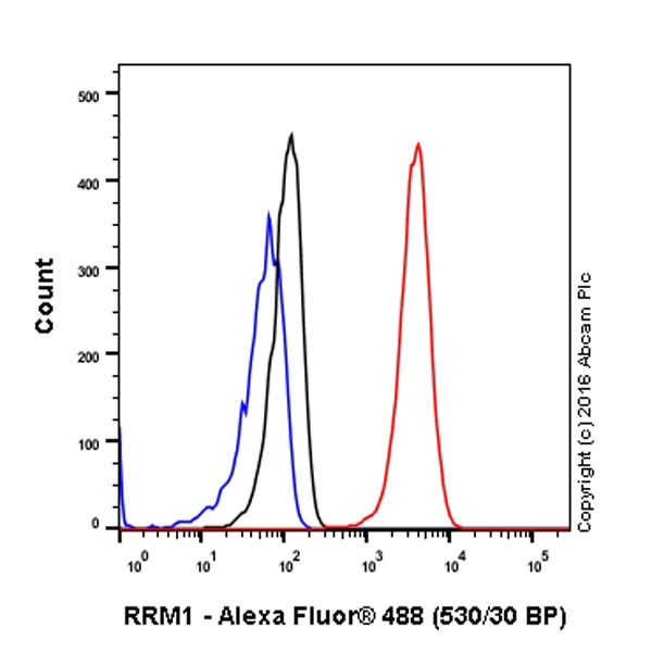 Flow Cytometry (Intracellular) - Anti-RRM1 antibody [EPR8483] (AB137114), expandable thumbnail