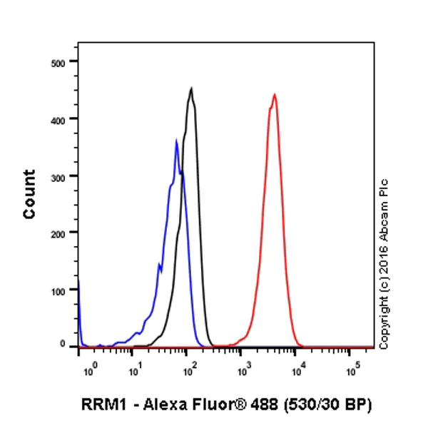 Flow Cytometry (Intracellular) - Anti-RRM1 antibody [EPR8483] (AB137114)