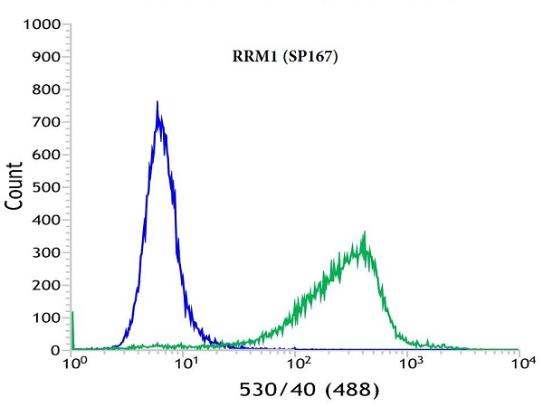 Flow Cytometry (Intracellular) - Anti-RRM1 antibody [SP167] (AB135383)