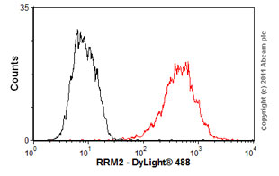 Flow Cytometry - Anti-RRM2 antibody [1E1] (AB57653), expandable thumbnail