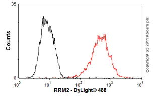Flow Cytometry - Anti-RRM2 antibody [1E1] (AB57653)