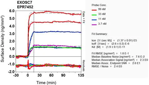 OI-RD Scanning - Anti-RRP42 antibody [EPR7452] - BSA and Azide free (AB248166)