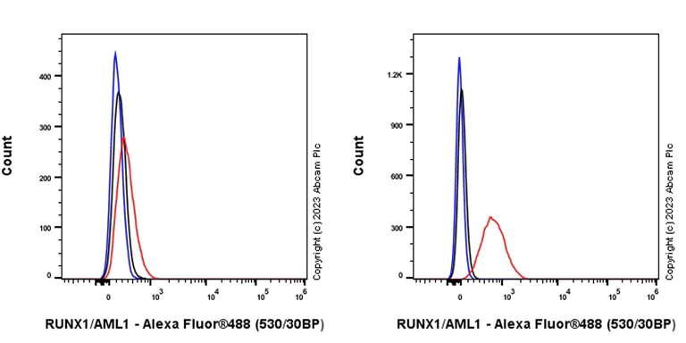 Flow Cytometry (Intracellular) - Anti-RUNX1 / AML1 antibody [RM1089] - BSA and Azide free (AB315399)