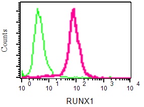 Flow Cytometry (Intracellular) - Anti-RUNX1 / AML1 + RUNX3 + RUNX2 antibody [EPR3099] - BSA and Azide free (ab220117), expandable thumbnail