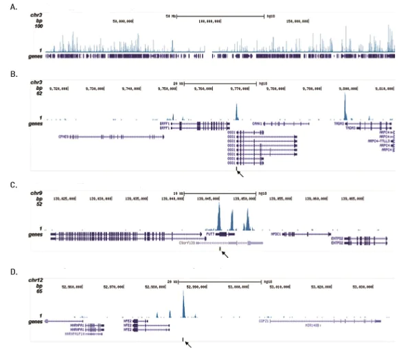 ChIP - Anti-RUNX1T1/ETO/CDR antibody - ChIP Grade (AB195329)