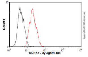 Flow Cytometry (Intracellular) - Anti-RUNX3 antibody [R3-5G4] (AB40278), expandable thumbnail