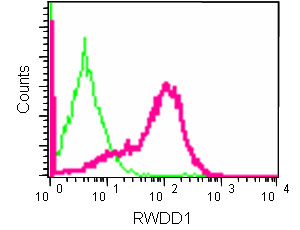 Flow Cytometry (Intracellular) - Anti-RWDD1 antibody [EPR13715(B)] - BSA and Azide free (AB250560), expandable thumbnail