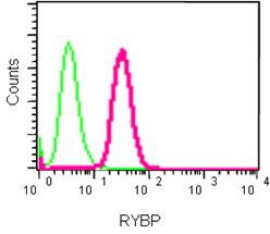 Flow Cytometry (Intracellular) - Anti-RYBP antibody [EPR13059(2)] - ChIP Grade (ab185971), expandable thumbnail