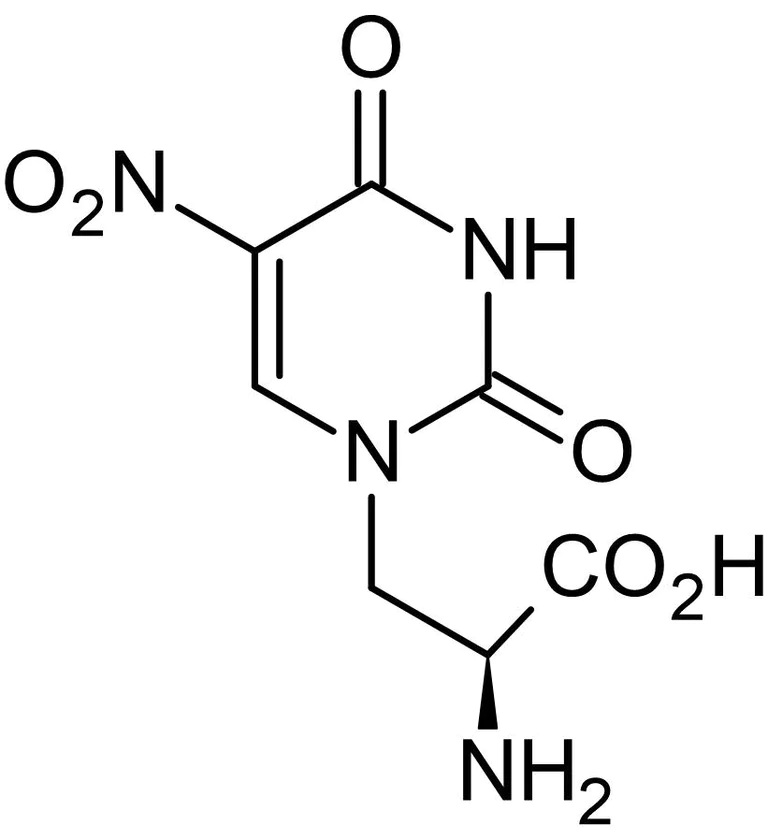 Chemical Structure - (S)-5-Nitrowillardiine, AMPA / kainate agonist (AB120063)
